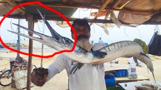 Amazing Hound Fish Cutting Skills