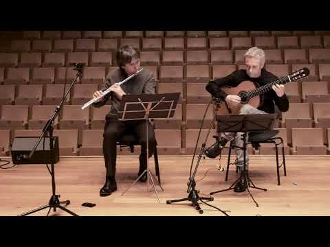 Duo Concertante: Allegro Vivo Video