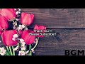 Relaxing Jazz & Bossa Nova Music - Spring Cafe Music For Work, Study