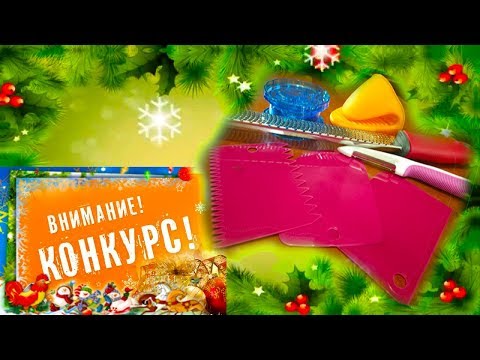 Конкурс-Розыгрыш Подарка от спонсора New Chic Конкурс-Розыгрыш Подарка от спонсора New Chic