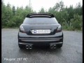 FOX Exhaust Systems - Peugeot 207 RC