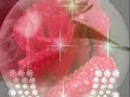 Like red on a rose - You are Special ecards - Love Greeting Cards Like red on a rose - You are Special ecards - Love Greeting Cards