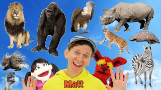 Africa Wild Animals Part 3 - What Do You See? Song  | Find It Version | Dream English Kids