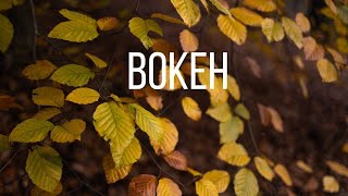 Landscape Photography - bokeh