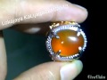 ORANGE SANKIS RAFLESIA GIWANG SUPER