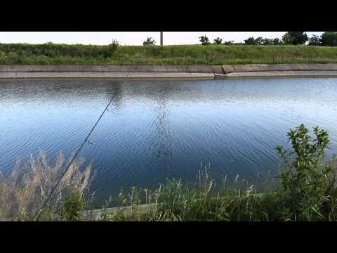рыбалка на григорьевском пруду рыбалка на григорьевском пруду