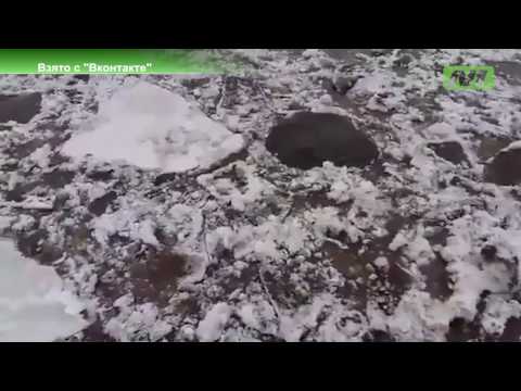 Уровень воды в Оби в районе Сургута вырос Уровень воды в Оби в районе Сургута вырос