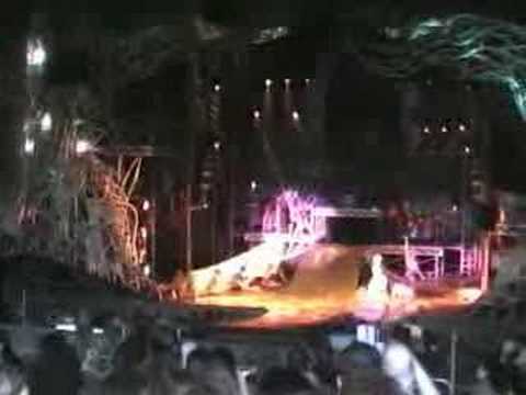 One of the last perfomances of Tarzan Rocks in the Theatre in the Wild at dave salmoni tarzan. One of the last perfomances of Tarzan Rocks in the Theatre in the Wild at