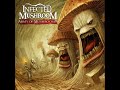 infected mashroom