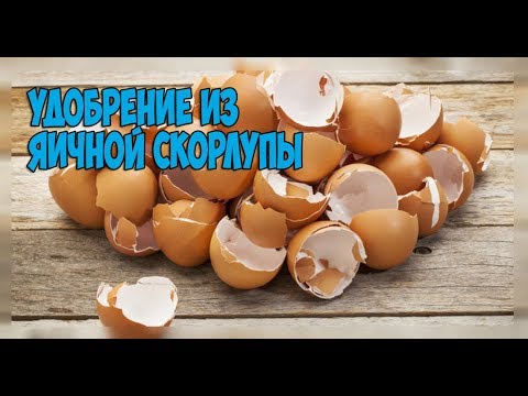 Что это ущемление седалищного нерва в домашних условиях Что это ущемление седалищного нерва в домашних условиях