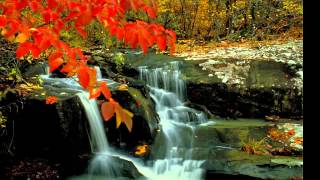 We Thank Thee (Jim Reeves) We Thank Thee (Jim Reeves)