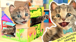 Little Kitten Preschool Adventure Educational Games -Play Fun Kitten Care Learning For Kids #1037