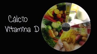 Nova Roda dos Alimentos