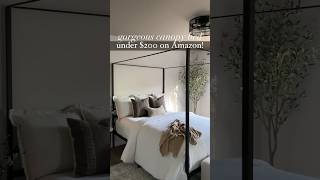Gorgeous Modern Canopy Bed Under 200