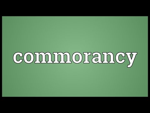 Header of commorancy