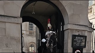 Live Horse Guards London - Guardwatch London