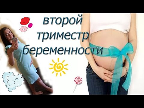 Беременность второй триместр видео Беременность второй триместр видео