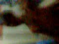 Budak Palembang Strees images Budak Palembang Strees