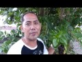 VANILLA HILLS. ECO TOURISM PARK PROMO, ARGAO, CEBU PHILIPPINES.