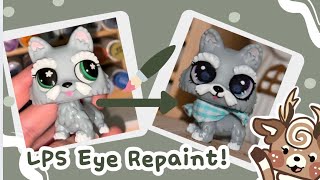 G7 Littlest Pet Shop Lps Eye Repaint