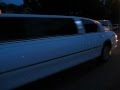 2014 Homecoming-Prom Limousine St Pete | Tampa | Orlando