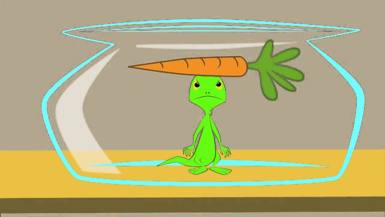 iguana anime iguana anime