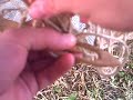 How to make a fishing net (doing the knot) - youtube