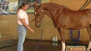 Watch Barefoot Truth Feet On The Ground video