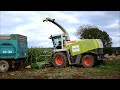 ensilage