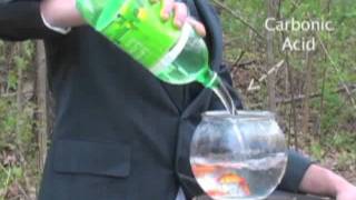 "Climate Change Movies Trailer" UMass Lowell Student Film for Climate Change Class (2011)