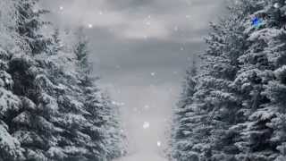 Beauty of Winter