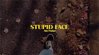 Watch Abe Parker Stupid Face video