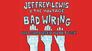 Watch Jeffrey Lewis  The Voltage Not Supposed To Be Wise video