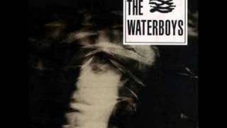 Watch Waterboys It Should Have Been You video