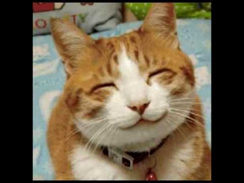 Dont Worry  be happy ... Beto Cortez