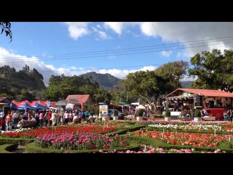 Feria del las Flores y el Cafe en Boquete 2014. Prestige Panama Realty. 6981.5000
