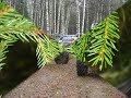 jeep-forum.ru лесАруб jeep-forum.ru лесАруб