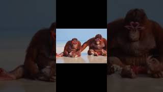 Орангутаны На Пляже #Мем #Мемчик #Meme