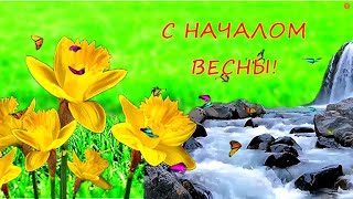 С Приходом Весны! С Началом Весны! Пожелания Позитива И Весеннего Настроения!