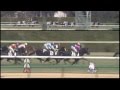 2013年1月6日(日) 3歳未勝利 ダイワストリーム
