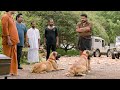 Mohanlal Dog Action Movie Scene | Kamalinee Mukherjee | Namitha | Tollywood Pictures