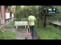Affitto