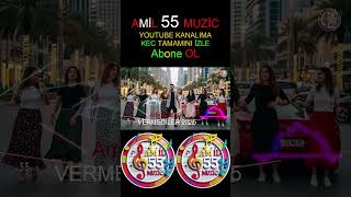 Amil Öztürk - Vermedi̇ler 2025