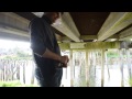 Under the Young Street Bridge
