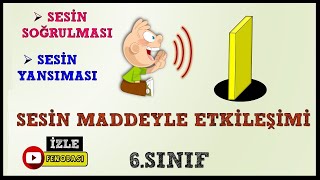 SESİN MADDE İLE  ETKİLEŞİMİ/ SES YALITIMI 6.SINIF