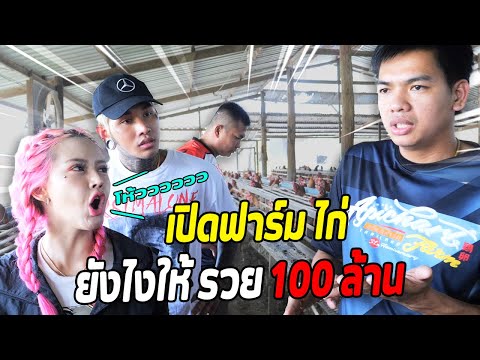เลี้ยงไก่ยังไง...ให้รวย 100 ล้าน!!