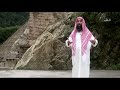 مشاهد