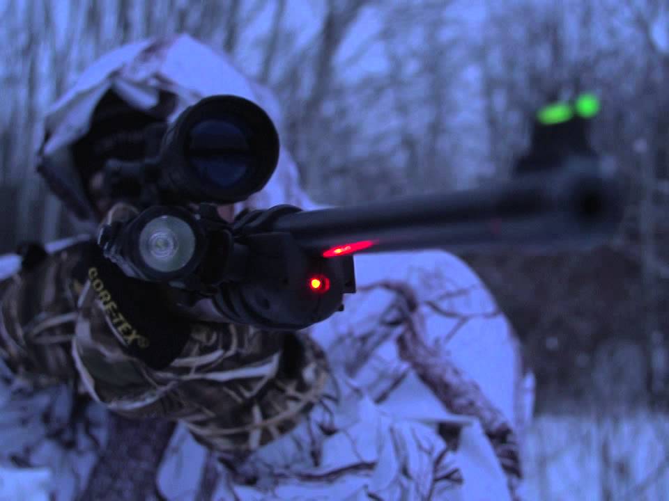 RUGER 10/22 LASER SIGHT YouTube