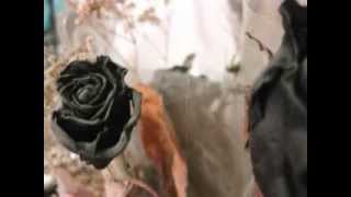 Watch Veljanov Empty Heart video
