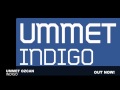 Ummet Ozcan - Indigo (Original Mix)